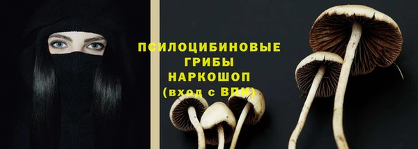 каннабис Баксан