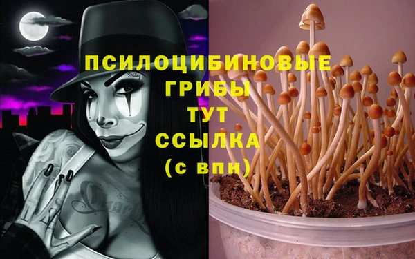 каннабис Баксан