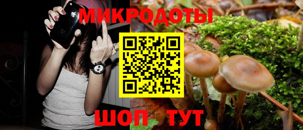 Галлюциногенные грибы GOLDEN TEACHER  Вход с VPN  Гатчина 