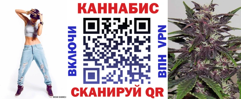 MEGA как зайти  Гатчина  Канабис индика 
